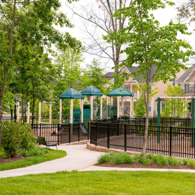 Landscape Greens